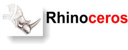 Rhinoceros